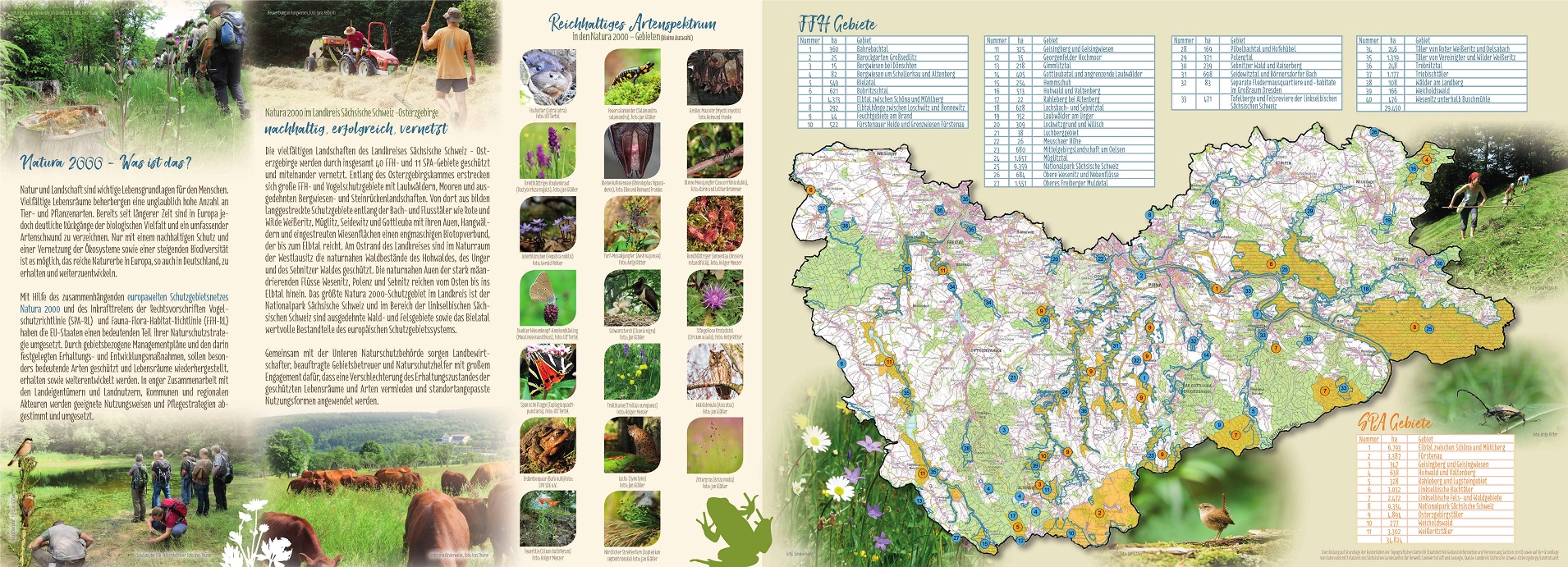 tl_files/downloads/Bilder Projekte/Projektstellen/Natura 2000 1.0/Flyer/Basis2_Endversion.jpg